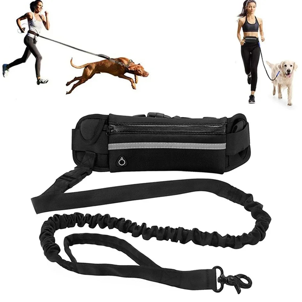 Hands Free Dog Leash – Swoboda i bezpieczeństwo dla Ciebie i Twojego pupila!