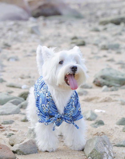 Japoński Styl – Kimono dla Psów  🐶🐱