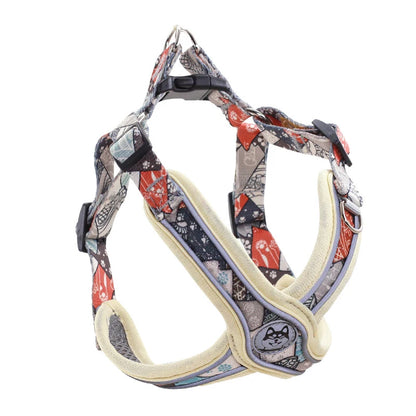 Szelki w kształcie X dla psa + Smycz