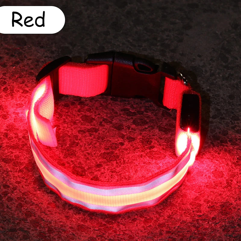 Świecąca obroża LED dla psa – bezpieczeństwo i widoczność w nocy