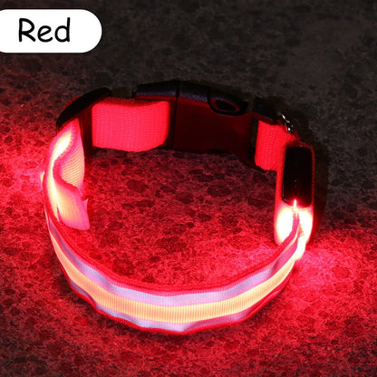 Świecąca obroża LED dla psa – bezpieczeństwo i widoczność w nocy