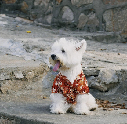 Japoński Styl – Kimono dla Psów  🐶🐱