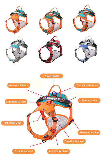 Bezuciskowe Szelki dla Psa – Komfort i Bezpieczeństwo na Każdym Spacerze! 🐶