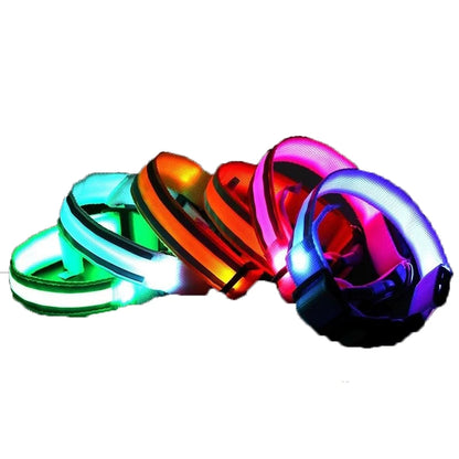 Świecąca obroża LED dla psa – bezpieczeństwo i widoczność w nocy