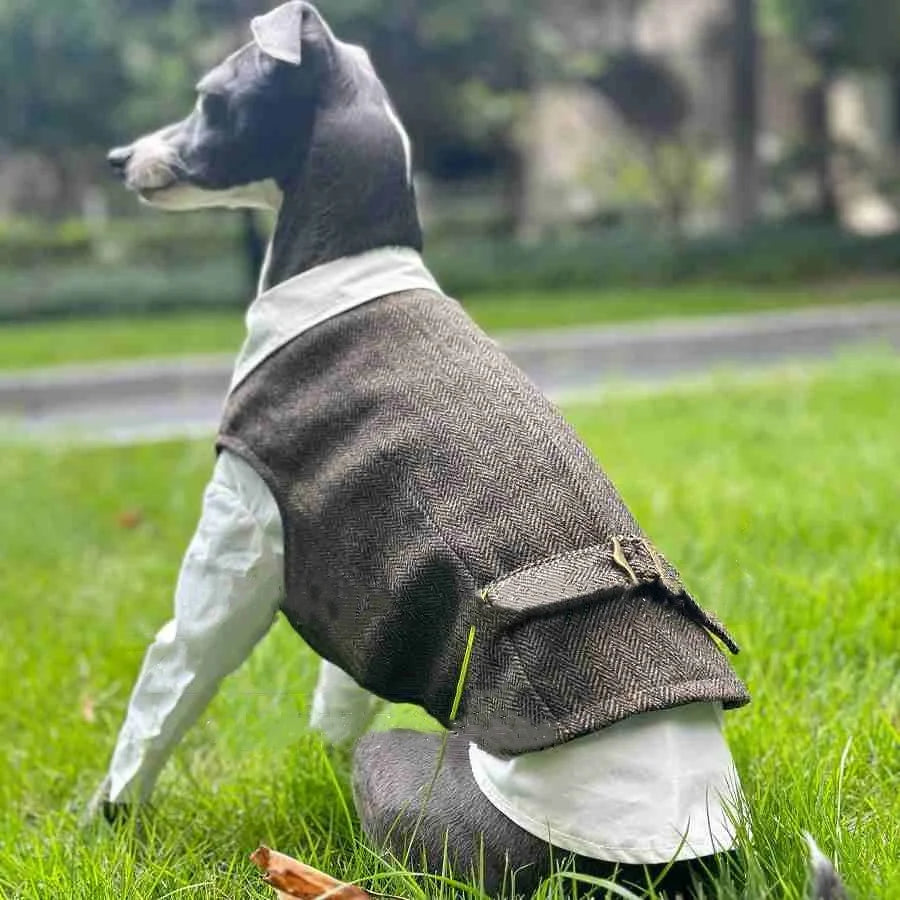 Jesienny strój retro w brytyjskim stylu – koszula i kamizelka dla psa