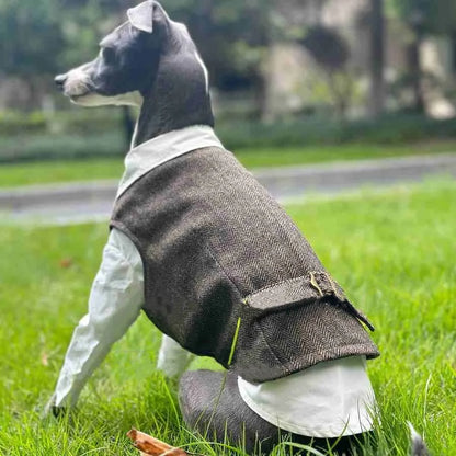 Jesienny strój retro w brytyjskim stylu – koszula i kamizelka dla psa