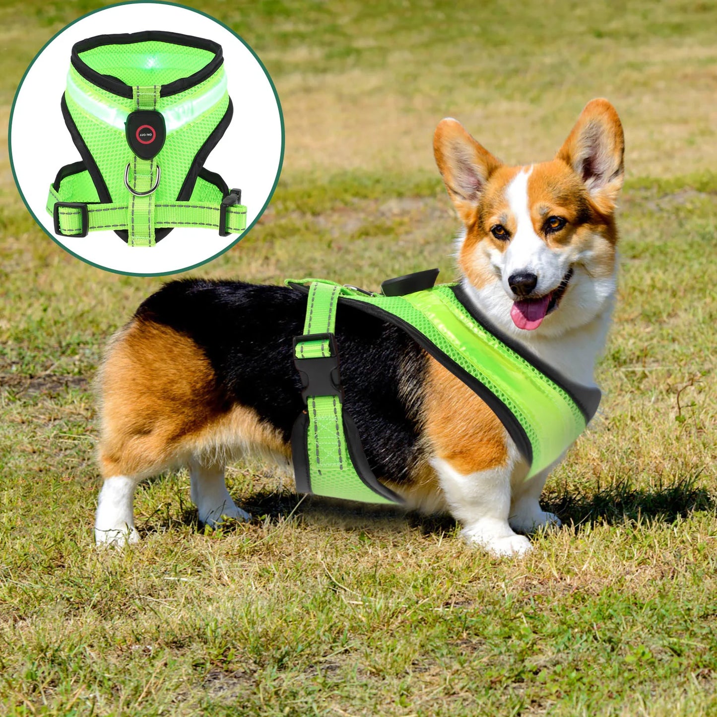 Świecąca kamizelka LED dla psa – bezpieczeństwo i styl podczas nocnych spacerów