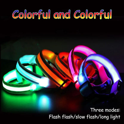 Świecąca obroża LED dla psa – bezpieczeństwo i widoczność w nocy