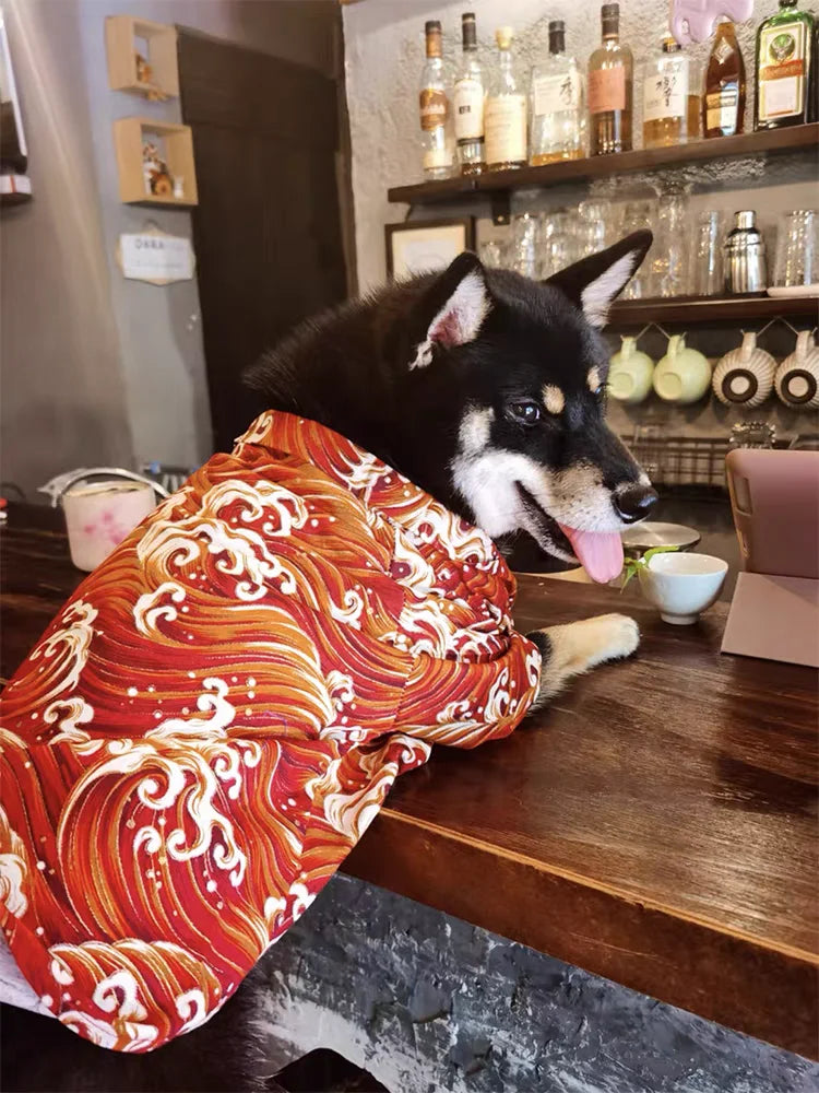 Japoński Styl – Kimono dla Psów  🐶🐱