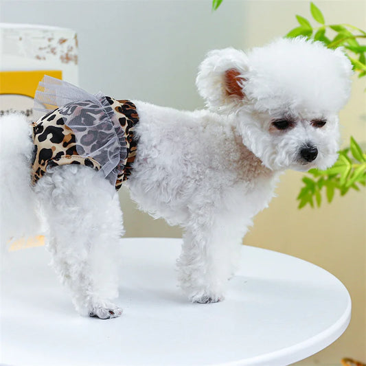 🐾 Oddychające Majteczki Fizjologiczne dla Suk i Kotek