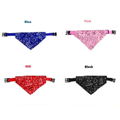 Regulowany Kołnierzyk z Chustą w Kształcie Trójkąta dla Kota i Psa 😺🐶