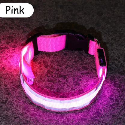 Świecąca obroża LED dla psa – bezpieczeństwo i widoczność w nocy
