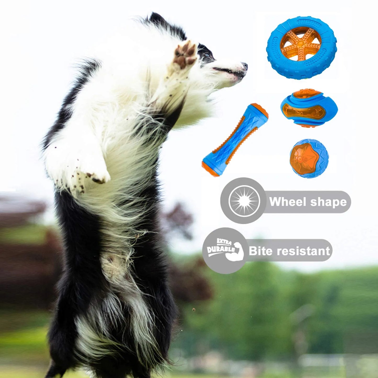 🐶 Gumowa Zabawka dla Psów – Wytrzymała, Gryzak z Piszczałką,