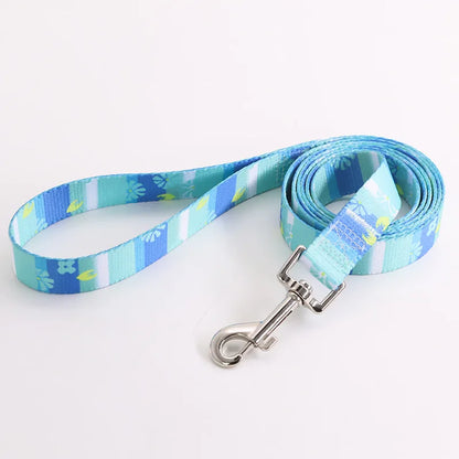 Kolorowa obroża i smycz dla psa – zestaw idealny na spacery! 🐶🐱