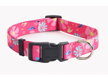 Kolorowa obroża i smycz dla psa – zestaw idealny na spacery! 🐶🐱