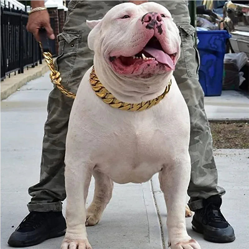 Mocna Obroża dla Psów – Cuban Chain 🐶✨