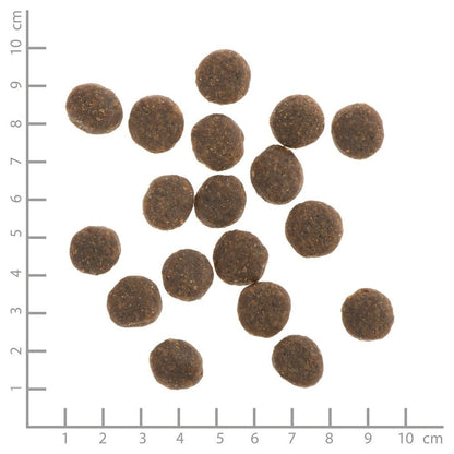 WILDES LAND DOG Forelle Lachs- pstrąg i łosoś z ziemniakami i ziołami (12kg)