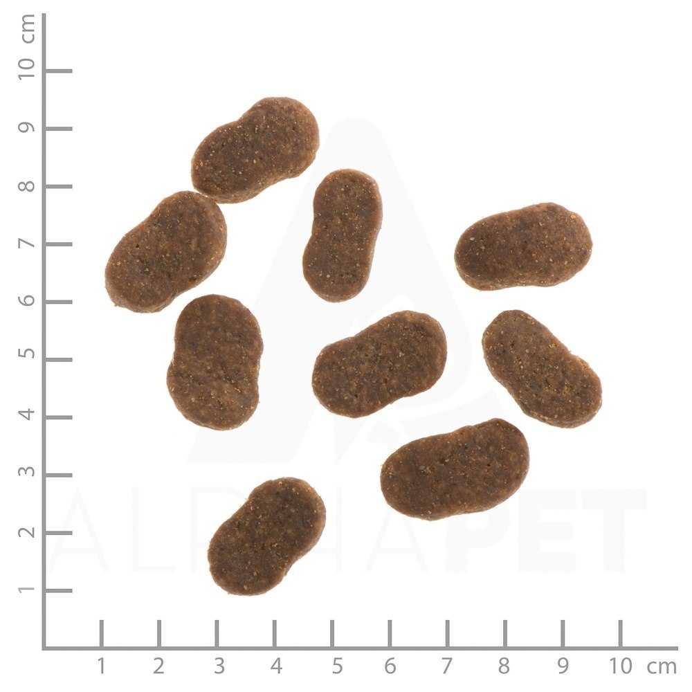 WILDES LAND DOG Lamm Lachs - jagnięcina i łosoś z ziemniakami i ziołami (12kg)