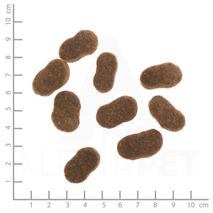 WILDES LAND DOG Lamm Lachs - jagnięcina i łosoś z ziemniakami i ziołami (12kg)