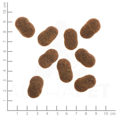 WILDES LAND DOG Rind - wołowina z ziemniakami i ziołami (12kg)