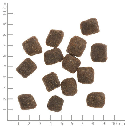 WILDES LAND DOG Soft Lamm - jagnięcina - półwilgotna karma dla psa (5kg)