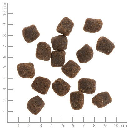 WILDES LAND DOG Soft Truthahn Lachs - indyk i łosoś - półwilgotna karma dla psa (1,5kg)