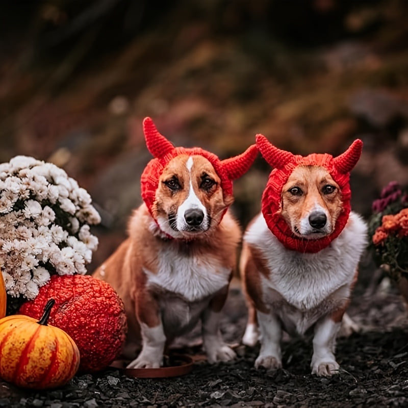 Czapka z rogami diabła dla psa i kota
