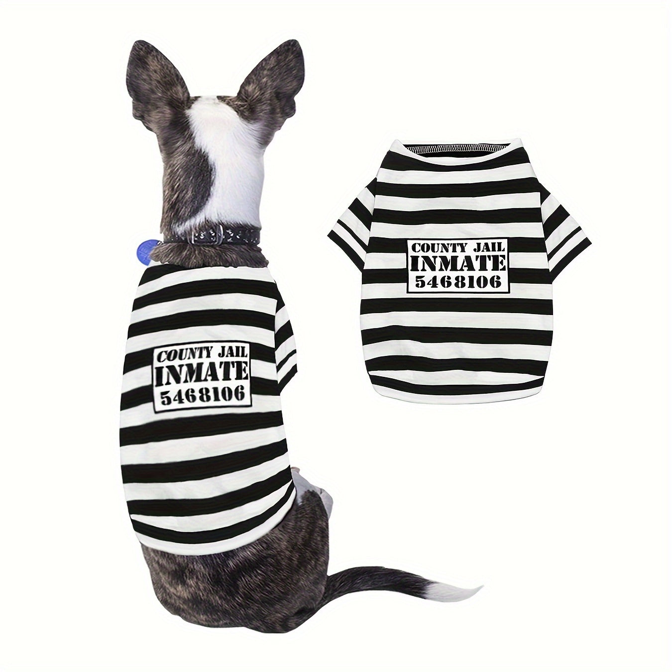 Kostium więźnia dla psa