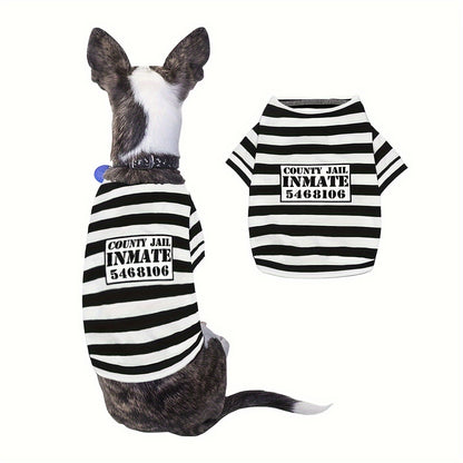 Kostium więźnia dla psa