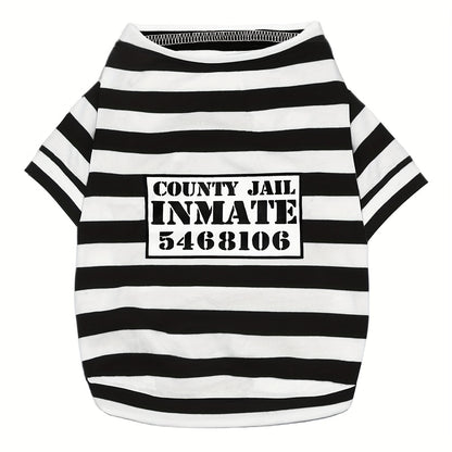 Kostium więźnia dla psa