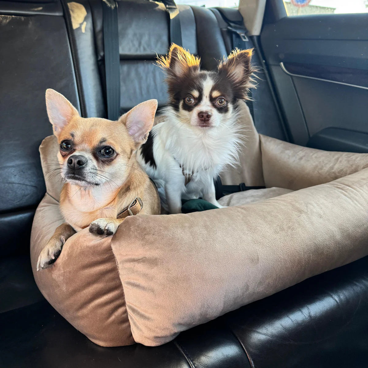 PETTO Oi siedzisko samochodowe fotelik dla psa